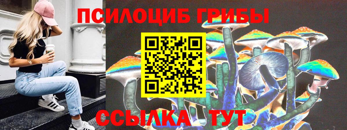 Галлюциногенные грибы мицелий  Вход с VPN  Ипатово 