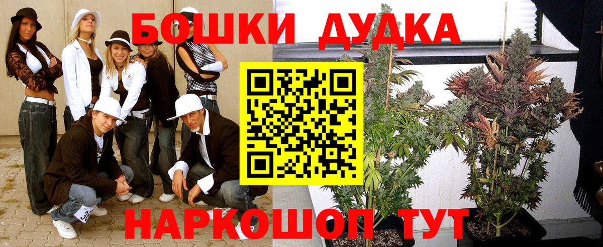 Конопля гибрид  Канабис AK-47  Вход с VPN  МАРИХУАНА сатива  Ипатово 